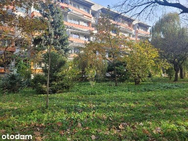 3 pok. rozkład i niski budynek, extra dojazd