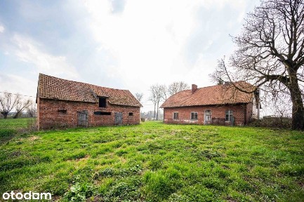 Siedlisko z potencjałem inwestycyjnym