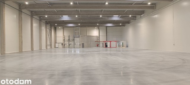Hala magazynowa wysokiego składowania 1670,58 m² Baranówka NOWA!