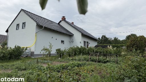 Dom wolnostojacy z garażem stodołą 71 ar ziemi