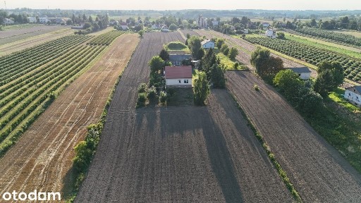 Dom siedlisko 30ar Piotrowice k.Nałęczowa i Lublina