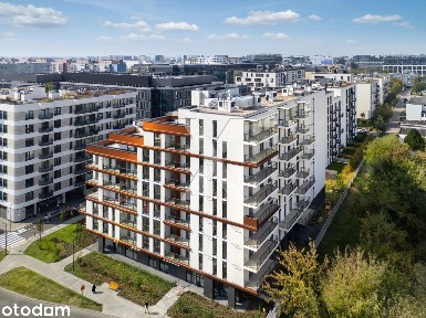 Lokal użytkowy 79m2 bezpośrednio, Zdziechowskiego 2