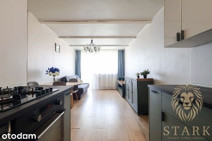 Os. Hallera: 2 pokoje, 37,75m², balkon, piwnica