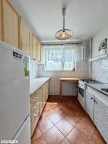 NOWA OFERTA! 3 POKOJE | DUŻY OGRÓDEK | PARTER | CENTRUM TYCHÓW