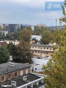 Oddane do użytku/Promocja/Zabłocie