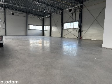 Na wynajem w Gdańsku Hala 1000m2+700m2 parking, Jasień top lokalizacja