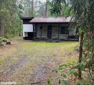Działka (2520m²) z dwoma domami (75+27m²) -Osiedle Wilga,las sosnowy
