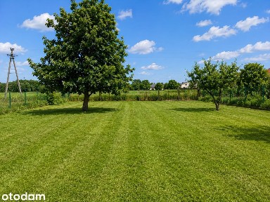 Dom 100 m² z dużą działką 3787 m² - Gołąb, ul. Puławska 61
