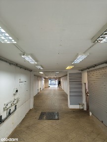 Lokal do wynajęcia - świetna lokalizacja !