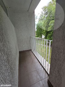 Kawalerka pojezierze w Olsztynie