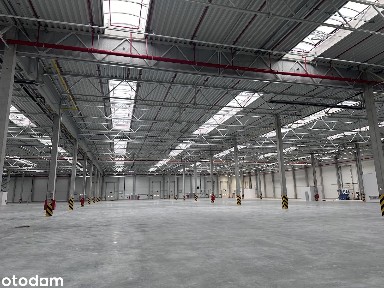 Magazyn na wynajem od zaraz/ Plewiska/ 4624 m2 + 294 m2 biura