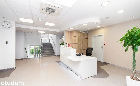 Biuro/a na wynajem w centrum Wrzeszcza