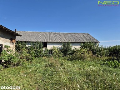 Kolonia Chorzew, Kiełczygłów, pajęczański, łódzkie