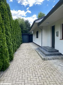 bezpośrednio,centrum Szczepankowa, przy lesie