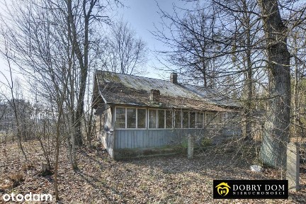* Duże siedlisko 10 ha dom, budynki gosp., las *