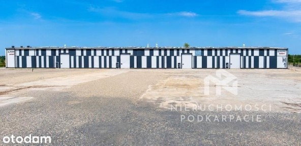 Centrum logistyczne - 5 ha - Hala/Magazyn -2766 m2