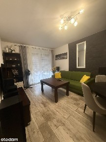 Komfortowe mieszkanie dwupokojowe z ładnym 50m2 ogrodem!