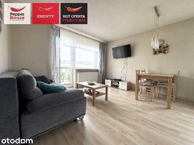 2-pokojowe mieszkanie 43 m² na wynajem