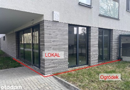 Dąb, Katowice, śląskie