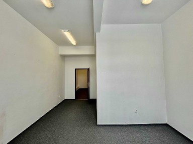 Lokal na pracownię/magazynek Widzew Piłsudskiego 135h