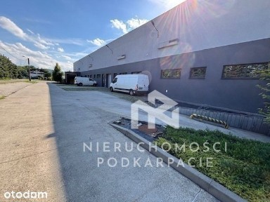 Zagorzyce, Sędziszów Małopolski, ropczycko-sędziszowski, podkarpackie