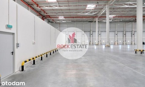 Magazyn 1524 m2 w Pruszkowie - 0% prowizji