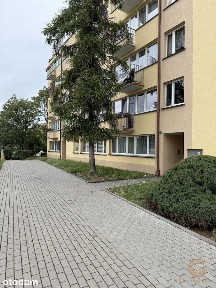 Mieszkanie w bloku w atrakcyjnej cenie