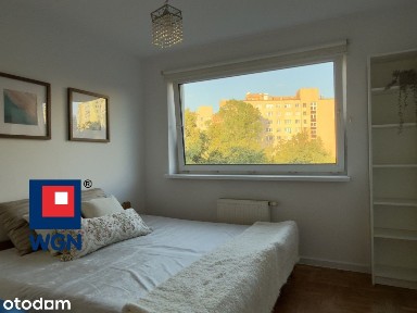 2 pokoje, balkon, widok na lipy, od ręki.