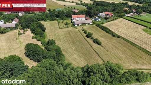Wyjątkowa nieruchomość z potencjałem