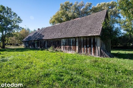 Siedlisko + WZ na dom jednorodzinny! Dobrzyniówka!