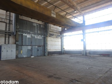 Wynajem hali warsztatowej o powierzchni 1 788,42 m² w Puławach