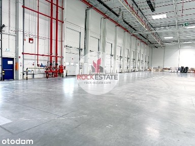 Magazyn na wynajem 4712 m2 Pruszków - 0% prow.