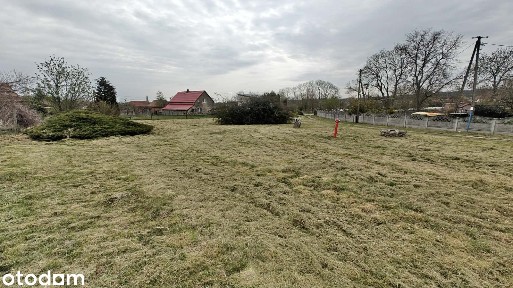 Dom wolnostojący z działką 3711 m² na sprzedaż