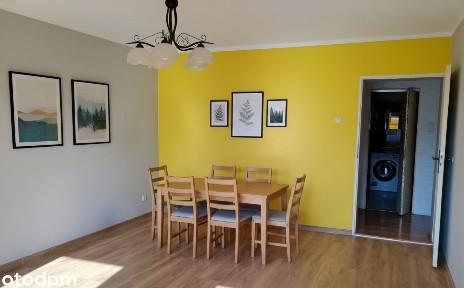 ul. Żytnia, Przedmieście Świdnickie, Stare Miasto, Wrocław, dolnośląskie