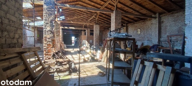 Topolowa 6, Łazy, zawierciański, śląskie