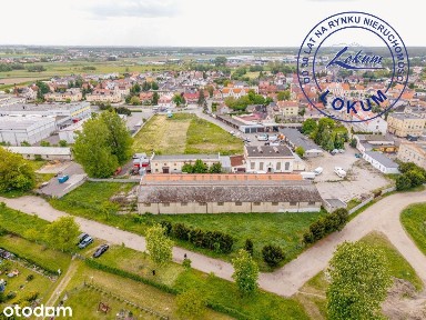 Aleja Kasztanowa, Rydzyna, leszczyński, wielkopolskie