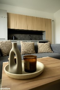 Nowoczesny apartament z widokiem na park
