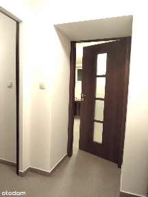 ul. Grunwaldzka, przy Rondzie, Grunwald, Poznań, wielkopolskie