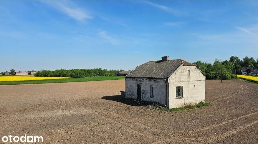 Dom z dużą działką 3000 m² | 2. linia zabudowy | Jałowęsy | 175 000 zł