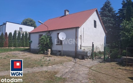 Ostrowite, Brzuze, rypiński, kujawsko-pomorskie
