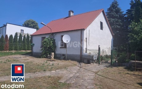 Ostrowite, Brzuze, rypiński, kujawsko-pomorskie