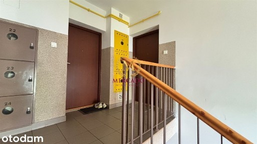 Duże mieszkanie na wynajem