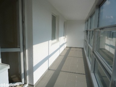 Piątkowska 84 Ataner ochrona 6p/8 klimatyzacja winda balkon 13m2