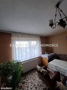 Dom jednorodzinny na dużej działce, Wilcza