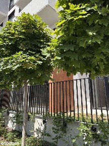 oddzielna sypialnia- ogródek-miejsce parkingowe