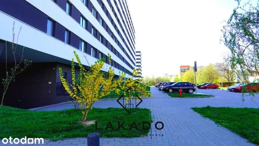 Piasta Kołodzieja, Mistrzejowice, Kraków, małopolskie