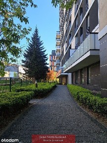 Gwiaździsta, Powstańców Śląskich, Krzyki, Wrocław, dolnośląskie