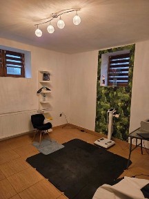 Budynek usługowy 210 m², Zawiercie Centrum Inwestycja