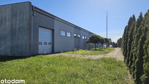 Hala na wynajem 1000 m² - Grudziądz, ul. Składowa, blisko A1!