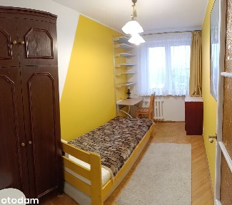 bzowa wynajem